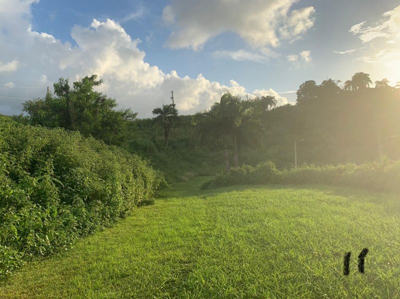 Mansiones De Terralinda Lote 18 Luquillo 00773 PR