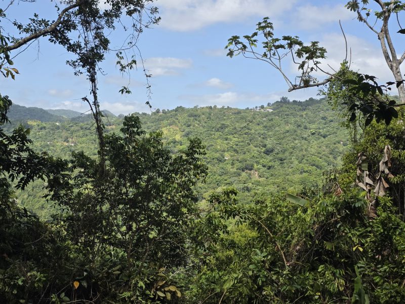 Bo Juan Gonzalez Carr 123 Adjuntas A Utuado Carr 1, Adjuntas - 17