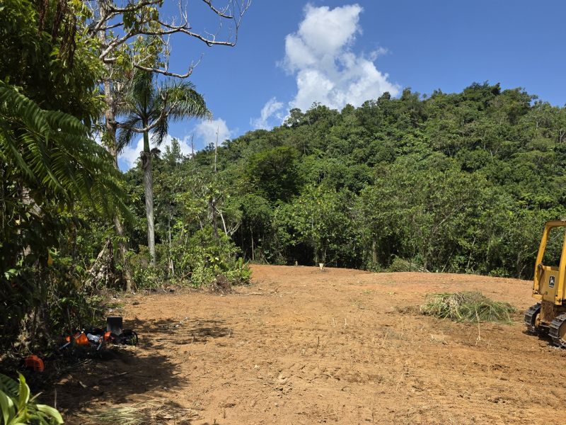 Bo Juan Gonzalez Carr 123 Adjuntas A Utuado Carr 1, Adjuntas - 12