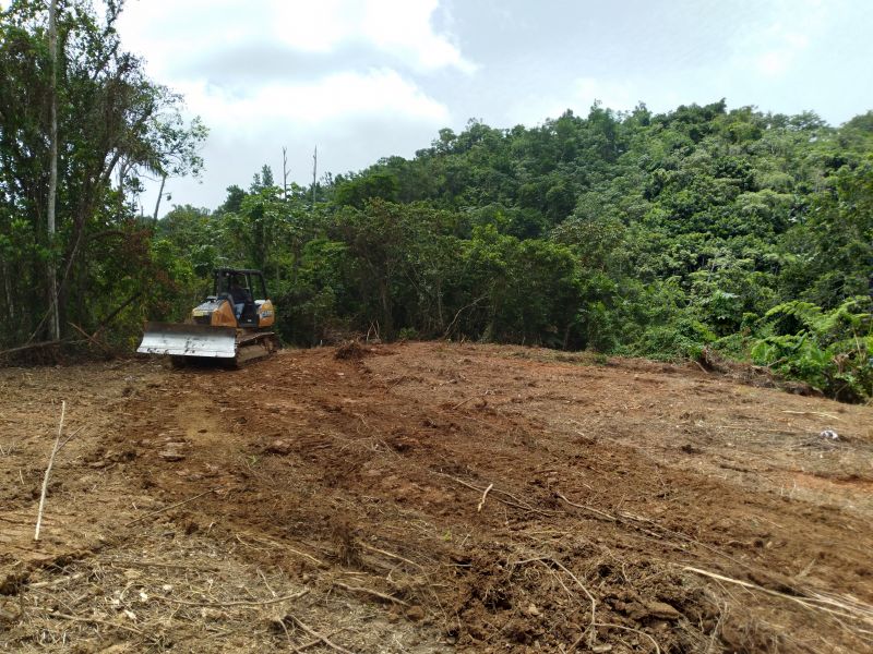 Bo Juan Gonzalez Carr 123 Adjuntas A Utuado Carr 1, Adjuntas - 11
