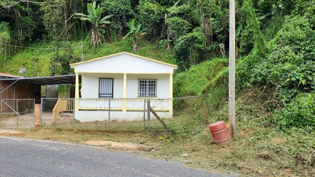 Bo Juan Gonzalez Carr 123 Adjuntas A Utuado Carr 1, Adjuntas - 7