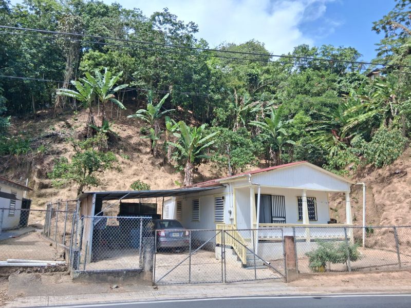 Bo Juan Gonzalez Carr 123 Adjuntas A Utuado Carr 1, Adjuntas - 8