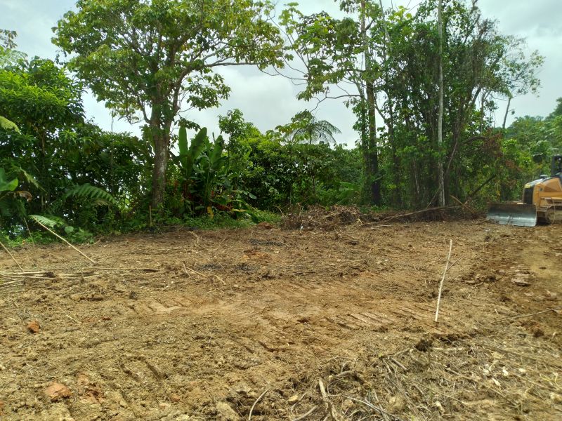Bo Juan Gonzalez Carr 123 Adjuntas A Utuado Carr 1, Adjuntas - 13