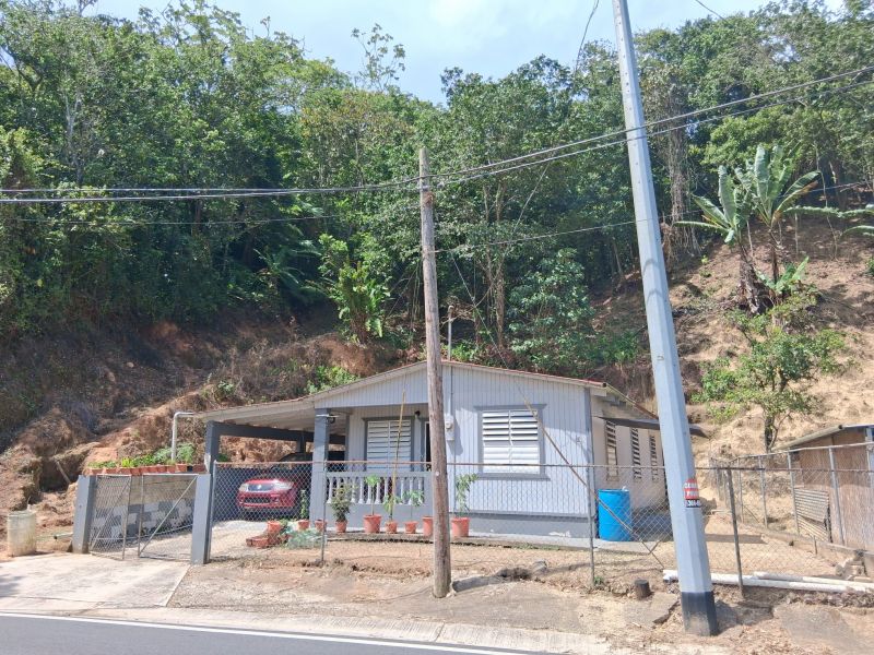 Bo Juan Gonzalez Carr 123 Adjuntas A Utuado Carr 1, Adjuntas - 4