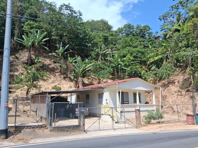Bo Juan Gonzalez Carr 123 Adjuntas A Utuado Carr 1, Adjuntas - 9
