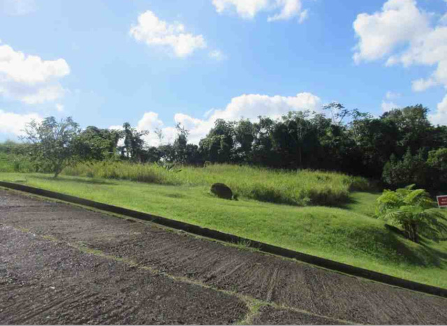 Pr 3349 Km 0.6 Int Maleza Wd Mayaguez 00680 PR