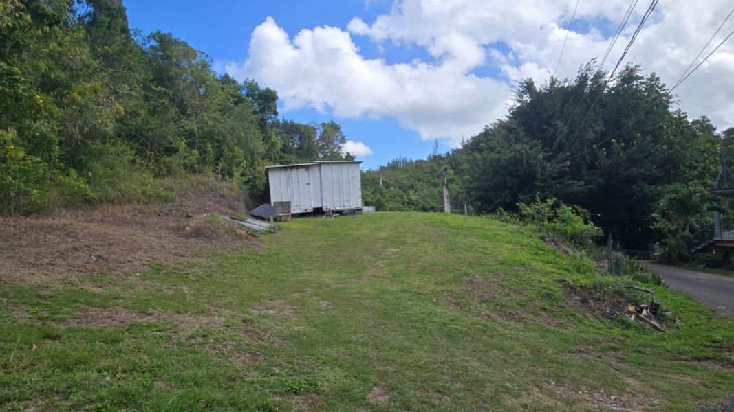Bo Cotto Norte Sector Altagracia 8 A Manati 00674 PR