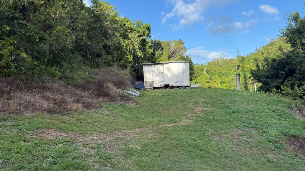 Bo Cotto Norte Sector Altagracia 8 A Manati 00674 PR