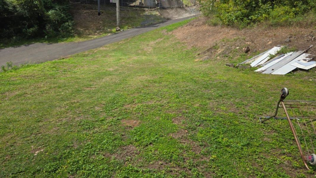Bo Cotto Norte Sector Altagracia 8 A Manati 00674 PR