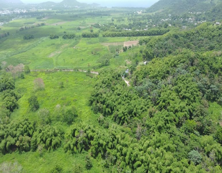 Bo Calzada Carr 759 Km 1 Hc 4, Maunabo - 4