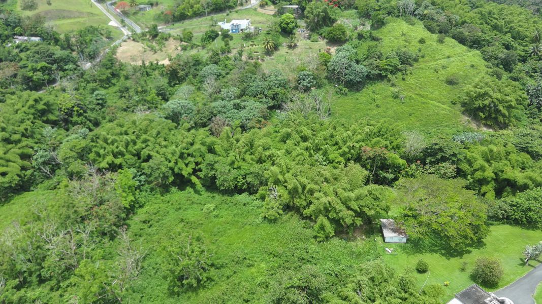 Bo Calzada Carr 759 Km 1 Hc 4, Maunabo - 2