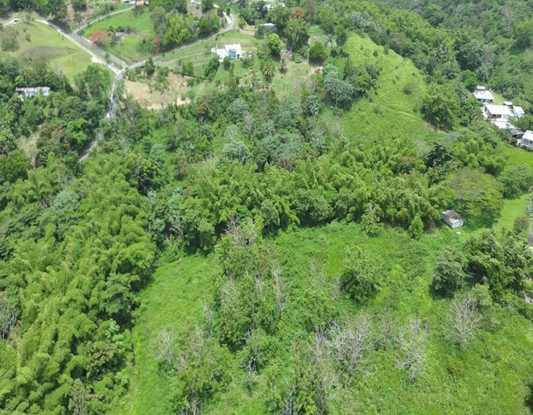 Bo Calzada Carr 759 Km 1 Hc 4, Maunabo - 11