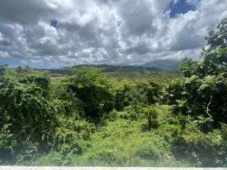 Calle 6 Parcela 196 Fortuna Cerro Luquillo 00773 PR
