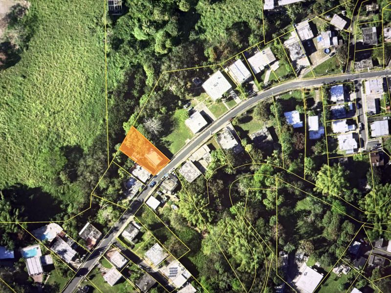 Bo Cañaboncito Urb Jose Mercado Calle G Washington Caguas 00725 PR