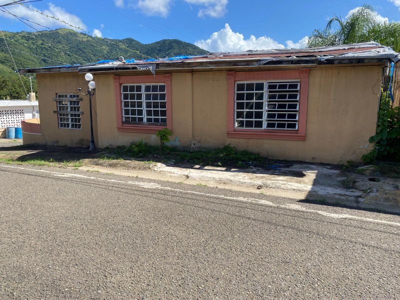 Calle 3 Parcela 103 Comunidad Olimpo Bo Caimital, Guayama - 19