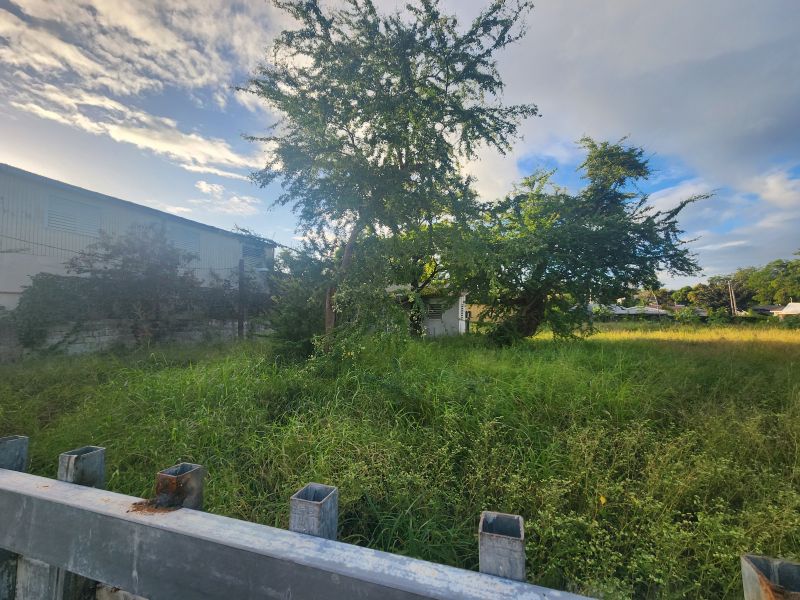 Bo Canas Calle Villa 321 Ponce 00730 PR