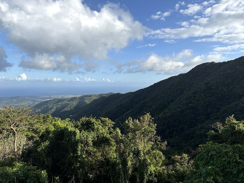 Carr 15 Km 10.8 Bo Las Palmas Lote 2 Guayama 00784 PR