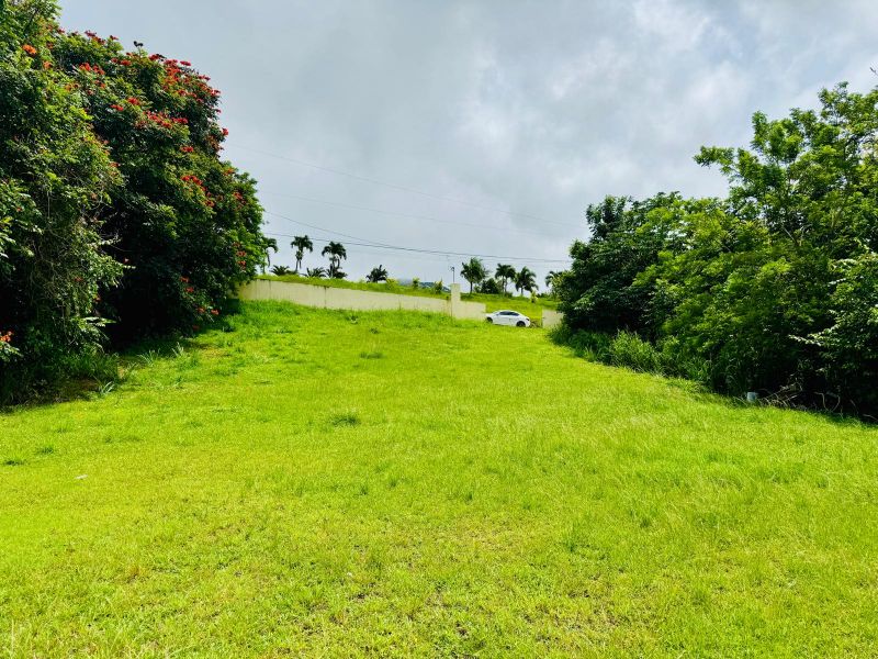 Carr 561 Km 5.1 Bo Vacas Villalba 00766 PR