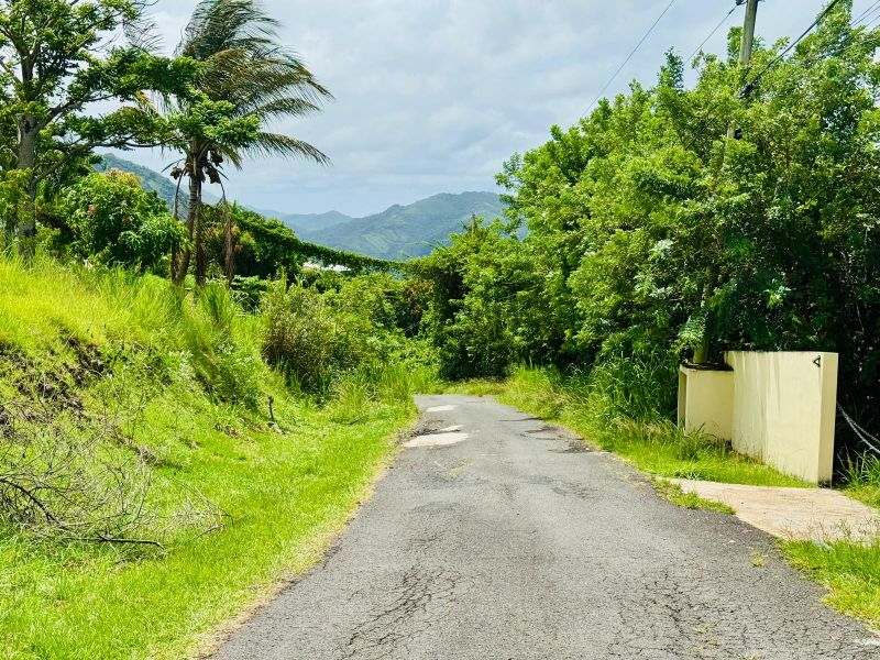 Carr 561 Km 5.1 Bo Vacas Villalba 00766 PR