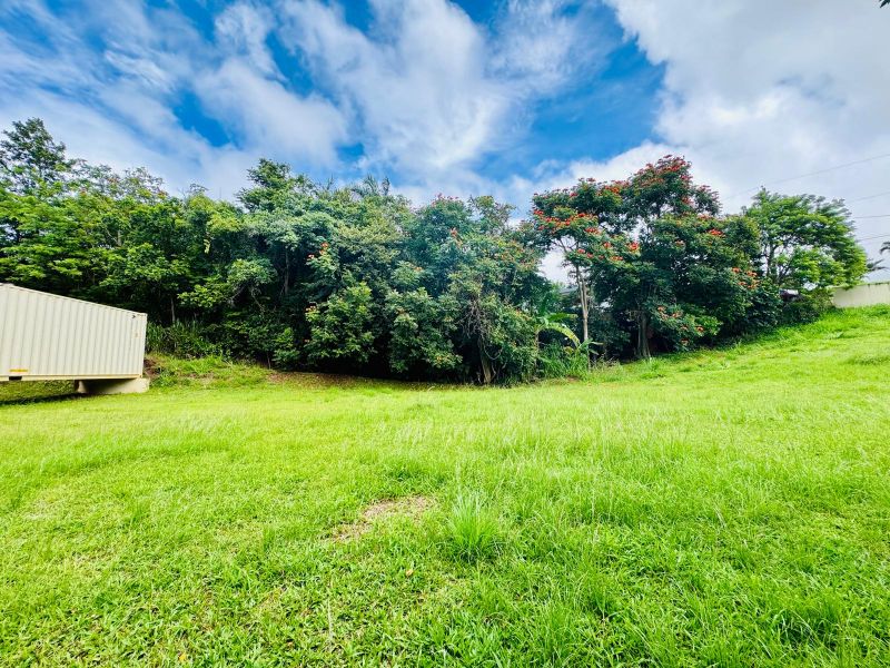 Carr 561 Km 5.1 Bo Vacas Villalba 00766 PR