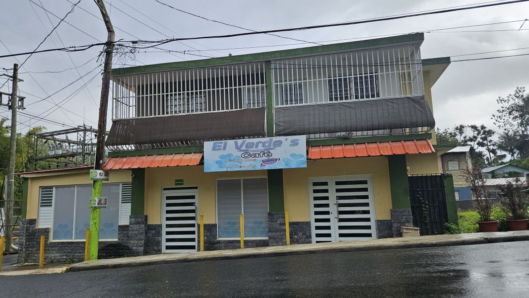 Carr 794 Km 0.0 Bo Caguitas Aguas Buenas 00703 PR