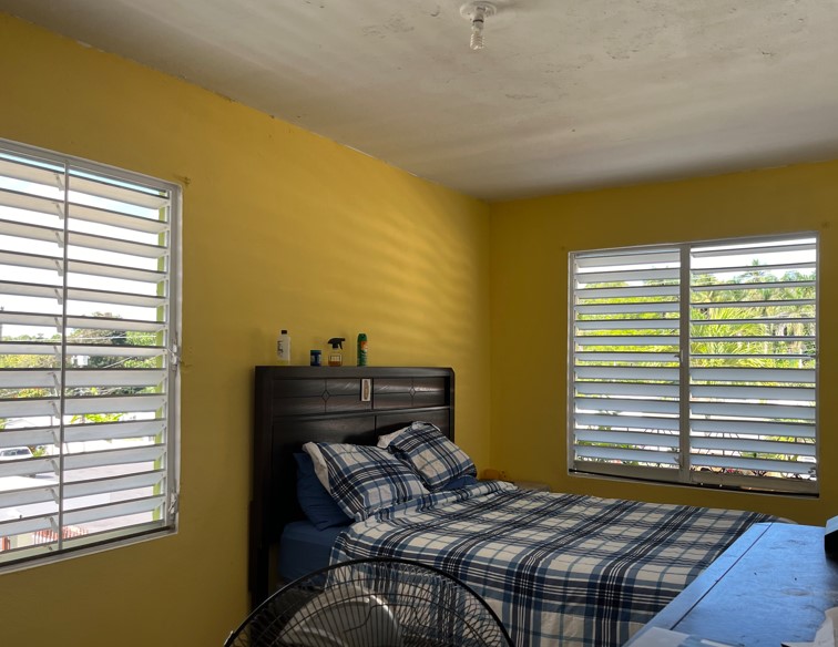 Calle Baldorioty Bo Morovis Norte Morovis 00687 PR