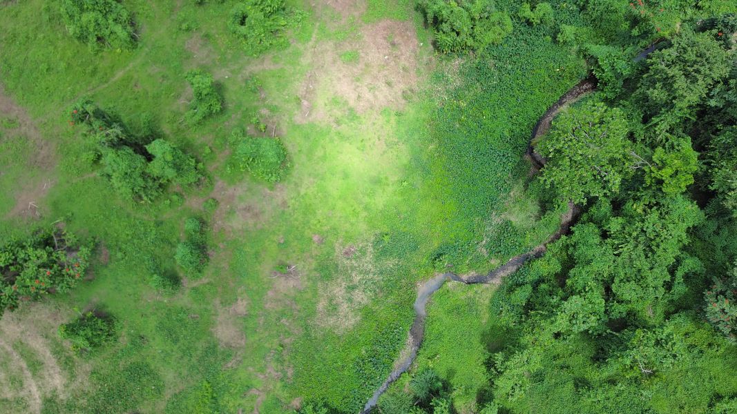 Carr 971 Km 15.0 Bo El Duque Naguabo 00718 PR