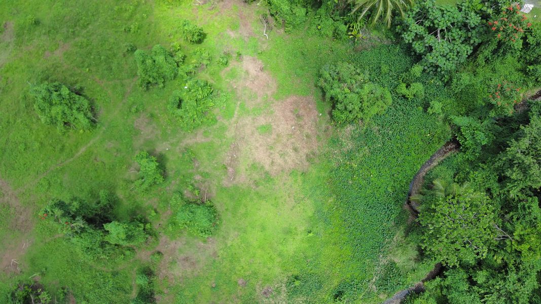 Carr 971 Km 15.0 Bo El Duque Naguabo 00718 PR