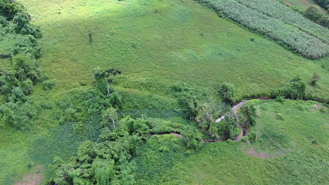 Carr 971 Km 15.0 Bo El Duque Naguabo 00718 PR
