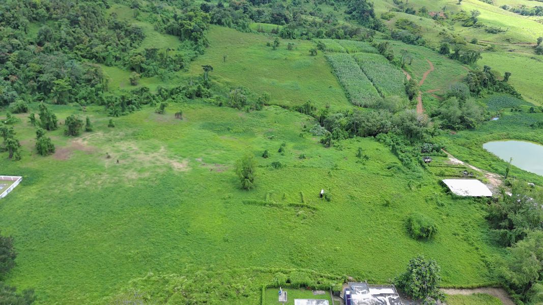 Carr 971 Km 15.0 Bo El Duque Naguabo 00718 PR