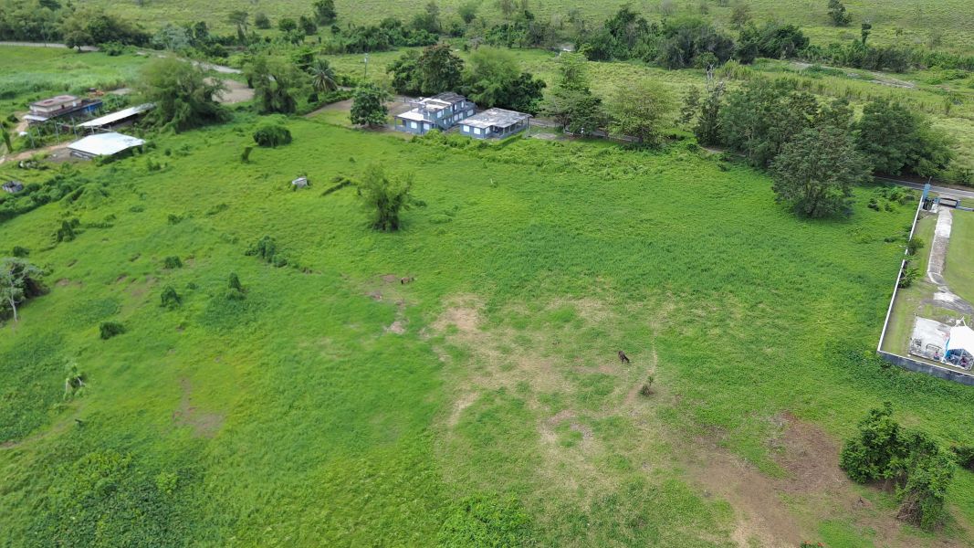 Carr 971 Km 15.0 Bo El Duque Naguabo 00718 PR