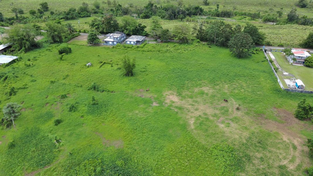 Carr 971 Km 15.0 Bo El Duque Naguabo 00718 PR