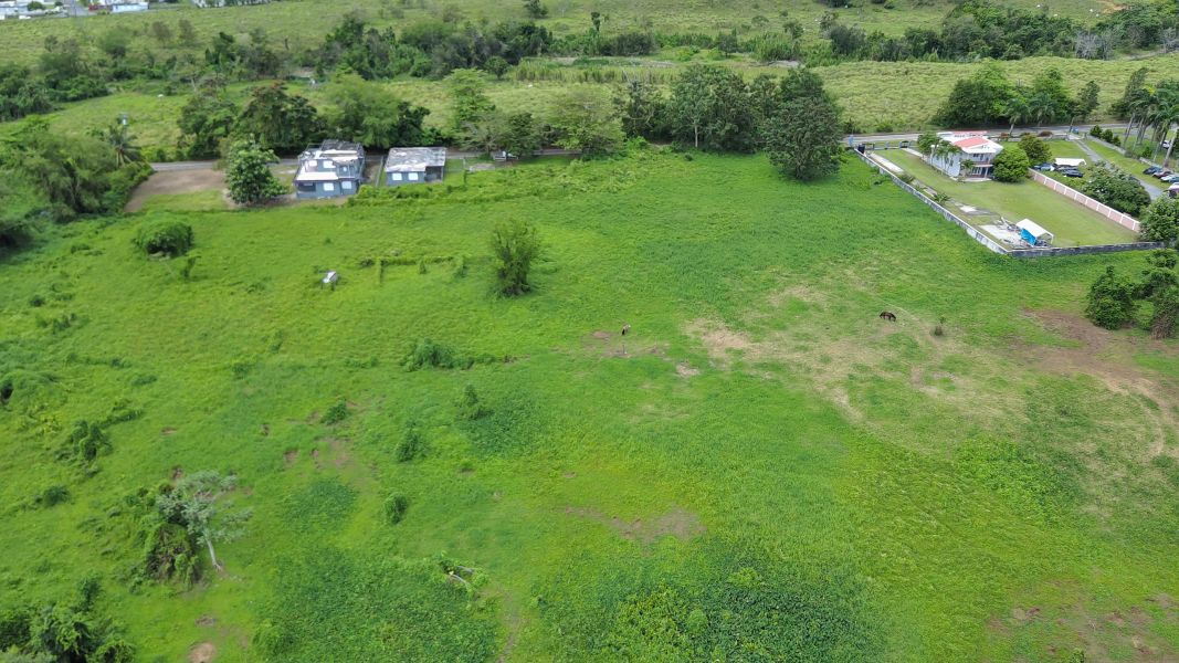 Carr 971 Km 15.0 Bo El Duque Naguabo 00718 PR