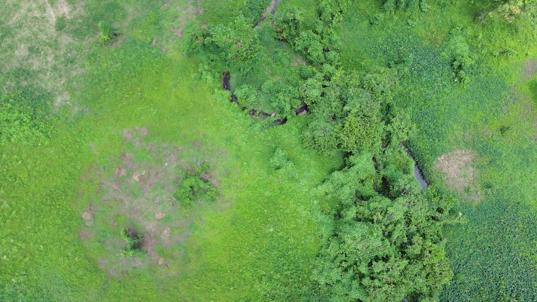 Carr 971 Km 15.0 Bo El Duque Naguabo 00718 PR