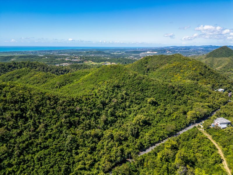 Bo Tijeras Y Rio Cañas Abajo Carr 14 Km 17 Juana Diaz 00795 PR