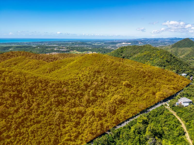 Bo Tijeras Y Rio Cañas Abajo Carr 14 Km 17 Juana Diaz 00795 PR