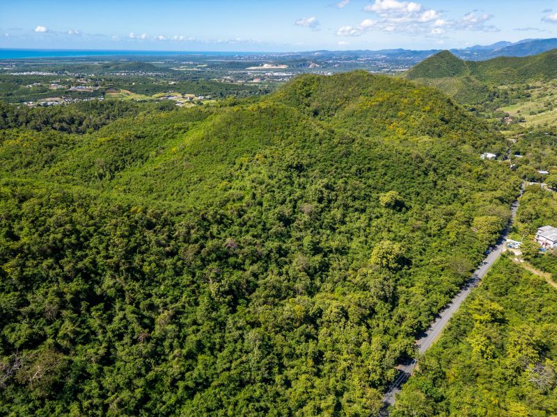 Bo Tijeras Y Rio Cañas Abajo Carr 14 Km 17 Juana Diaz 00795 PR
