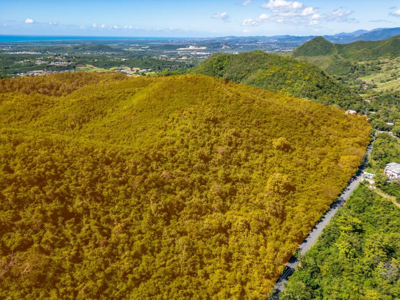 Bo Tijeras Y Rio Cañas Abajo Carr 14 Km 17 Juana Diaz 00795 PR