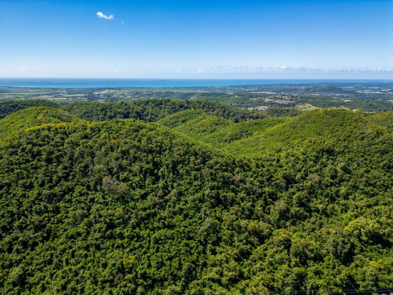 Bo Tijeras Y Rio Cañas Abajo Carr 14 Km 17 Juana Diaz 00795 PR