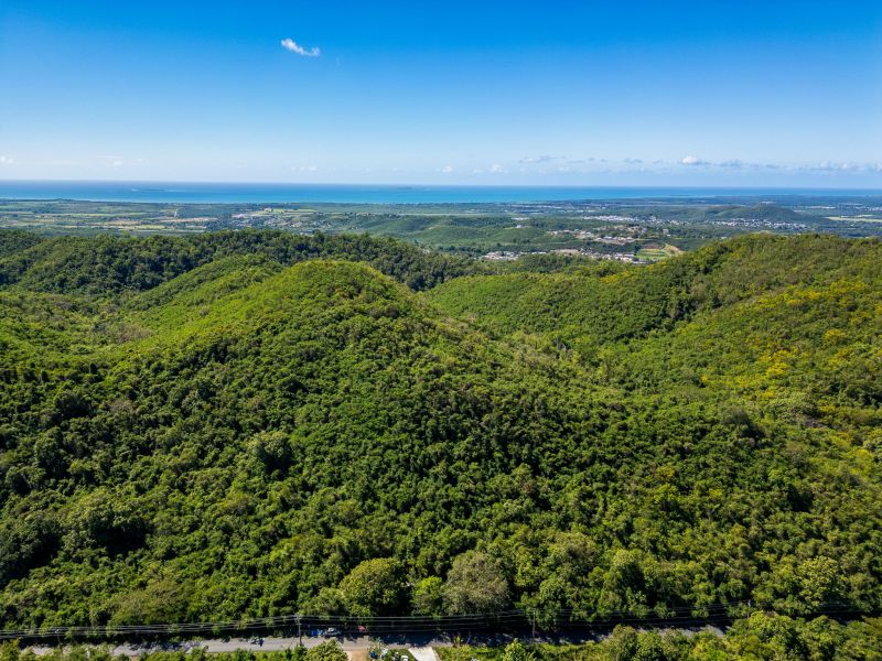 Bo Tijeras Y Rio Cañas Abajo Carr 14 Km 17 Juana Diaz 00795 PR