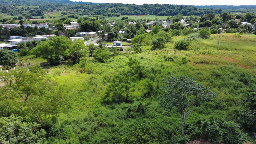 Carr 109 Km 5.4 Int Sector El Acueductos Bo Espino Anasco 00610 PR