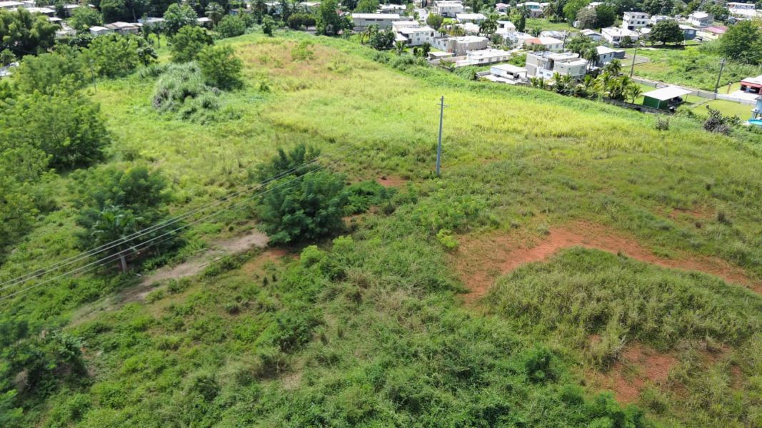 Carr 109 Km 5.4 Int Sector El Acueductos Bo Espino Anasco 00610 PR