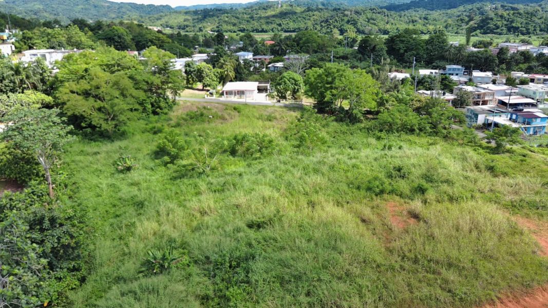 Carr 109 Km 5.4 Int Sector El Acueductos Bo Espino Anasco 00610 PR