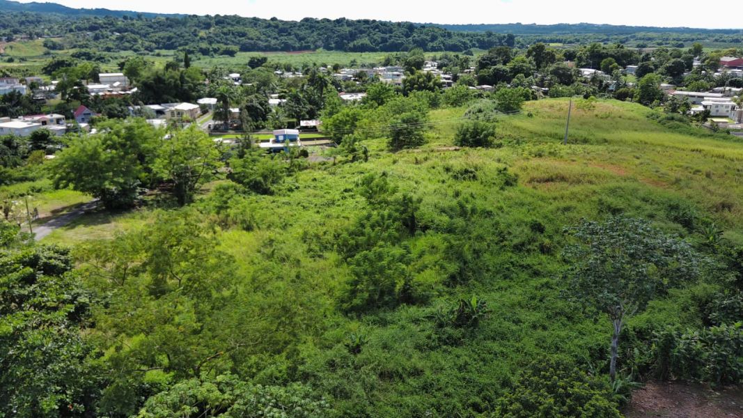 Carr 109 Km 5.4 Int Sector El Acueductos Bo Espino Anasco 00610 PR