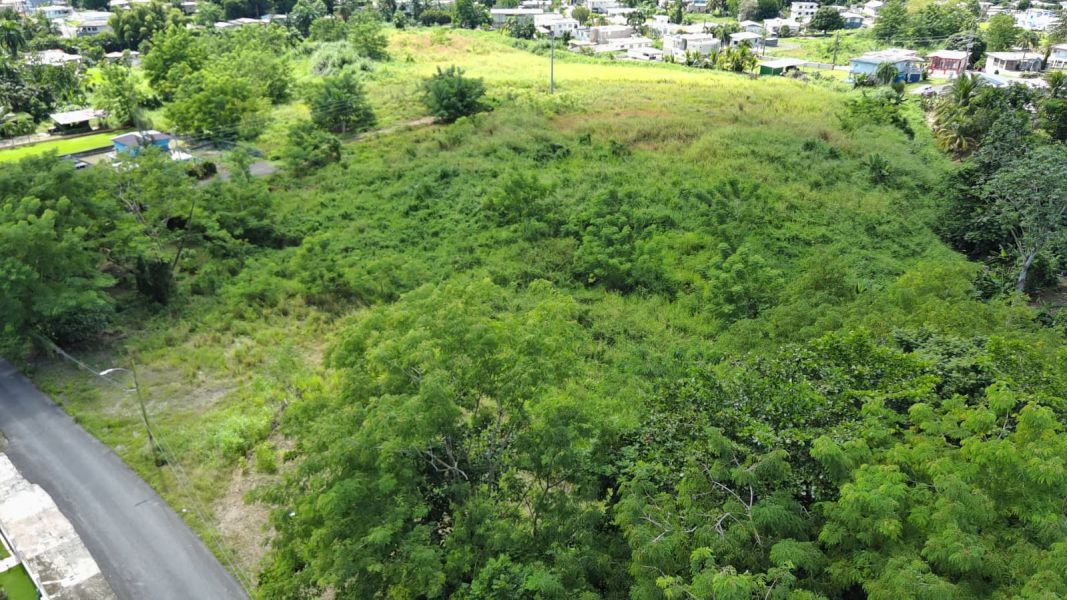 Carr 109 Km 5.4 Int Sector El Acueductos Bo Espino Anasco 00610 PR