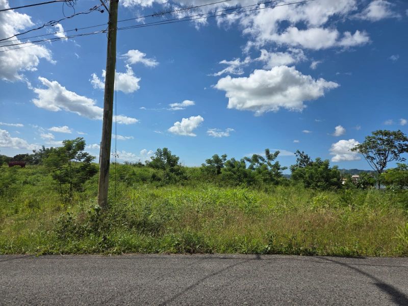 Carr 109 Km 5.4 Int Sector El Acueductos Bo Espino Anasco 00610 PR