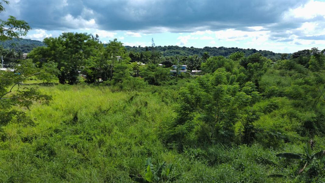 Carr 109 Km 5.4 Int Sector El Acueductos Bo Espino Anasco 00610 PR