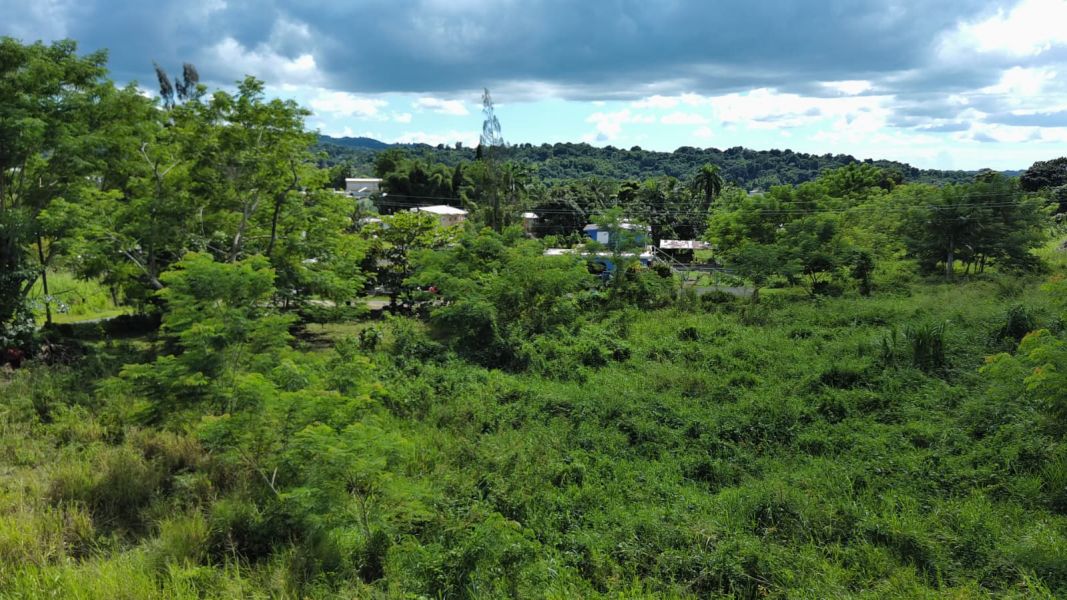 Carr 109 Km 5.4 Int Sector El Acueductos Bo Espino Anasco 00610 PR