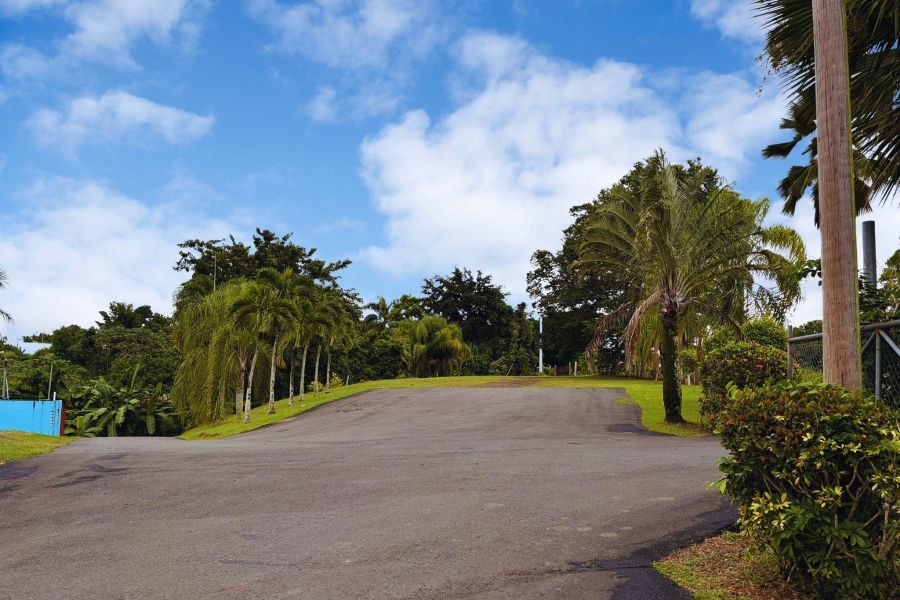 Carr 568 Km 28.0 Int Hm 3 Int Sector El Dos Bo Pad Corozal 00783 PR