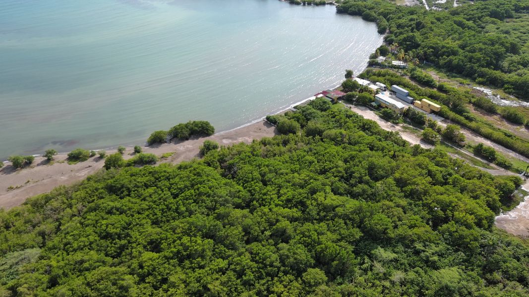 Bo Jauca Solar #7 Playa Clavelina Santa Isabel 00757 PR